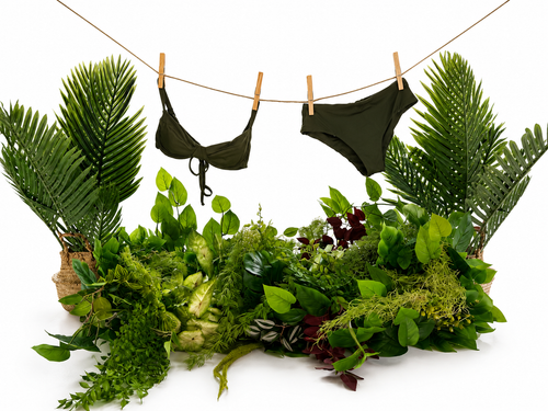 THE OLIVE TREE SUIT