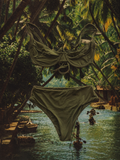 THE OLIVE TREE SUIT